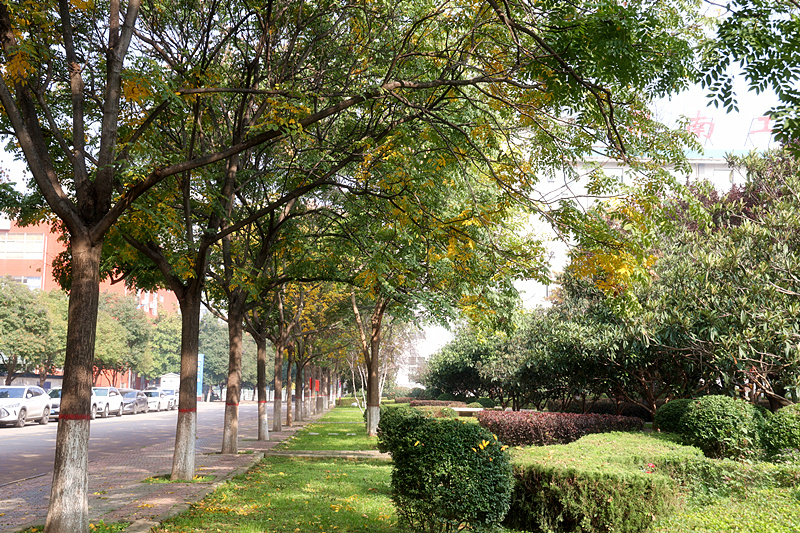 0K9A2666_副本.jpg 0K9A2666_副本.jpg