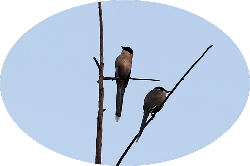 微信圖片_20251105163529_37_88.png 微信圖片_20251105163529_37_88.png