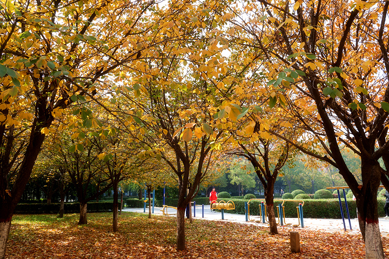 0K9A2742_副本.jpg 0K9A2742_副本.jpg